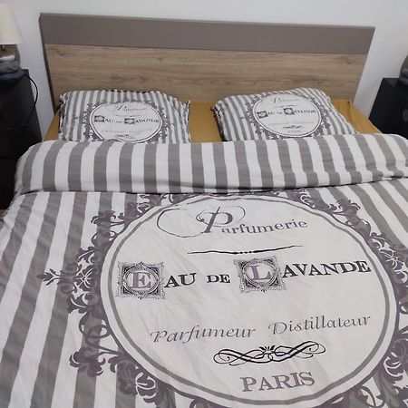 Grand Appartement Chaleureux Mirebeau-sur-Beze エクステリア 写真
