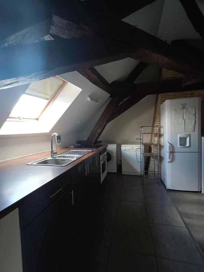 Grand Appartement Chaleureux Mirebeau-sur-Beze エクステリア 写真
