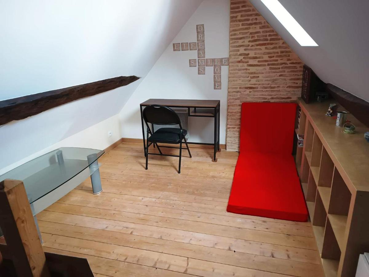 Grand Appartement Chaleureux Mirebeau-sur-Beze エクステリア 写真