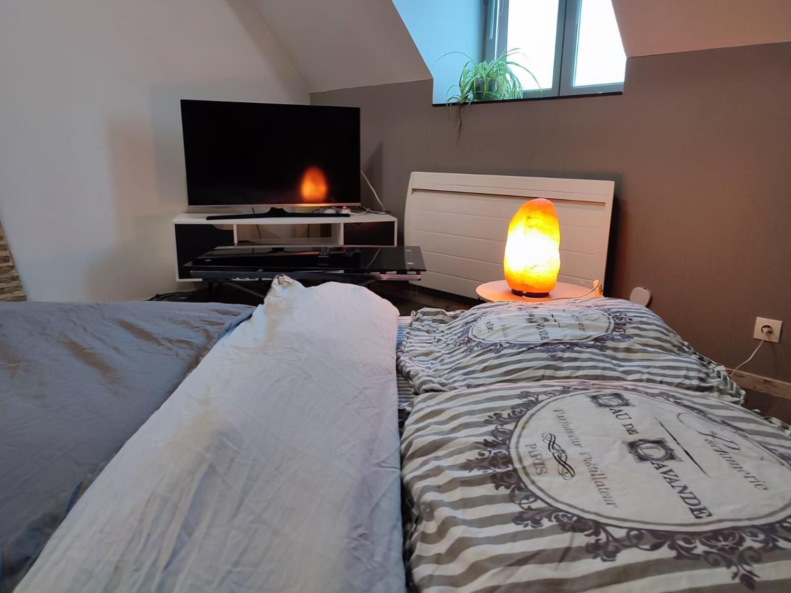 Grand Appartement Chaleureux Mirebeau-sur-Beze エクステリア 写真