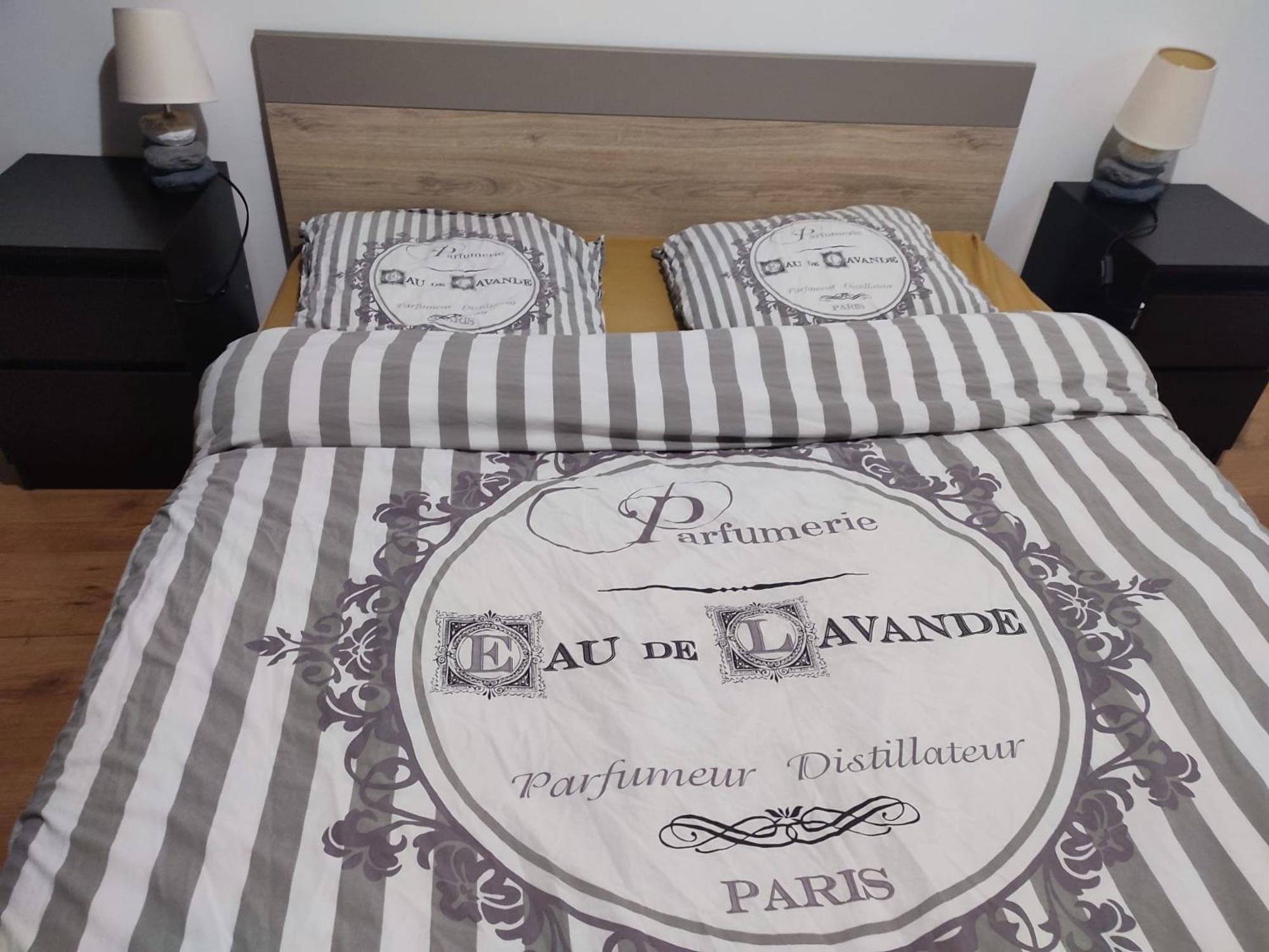 Grand Appartement Chaleureux Mirebeau-sur-Beze エクステリア 写真